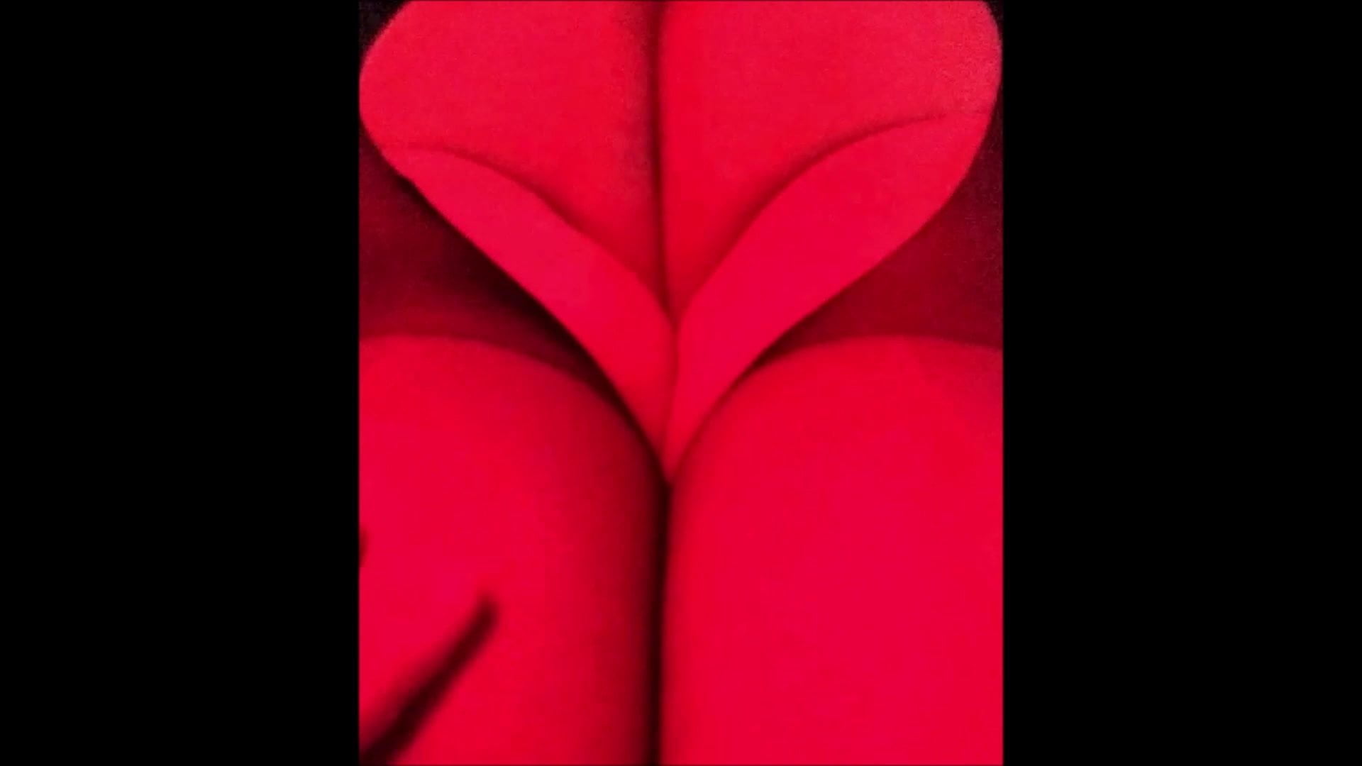 Denise Deniz Ely
