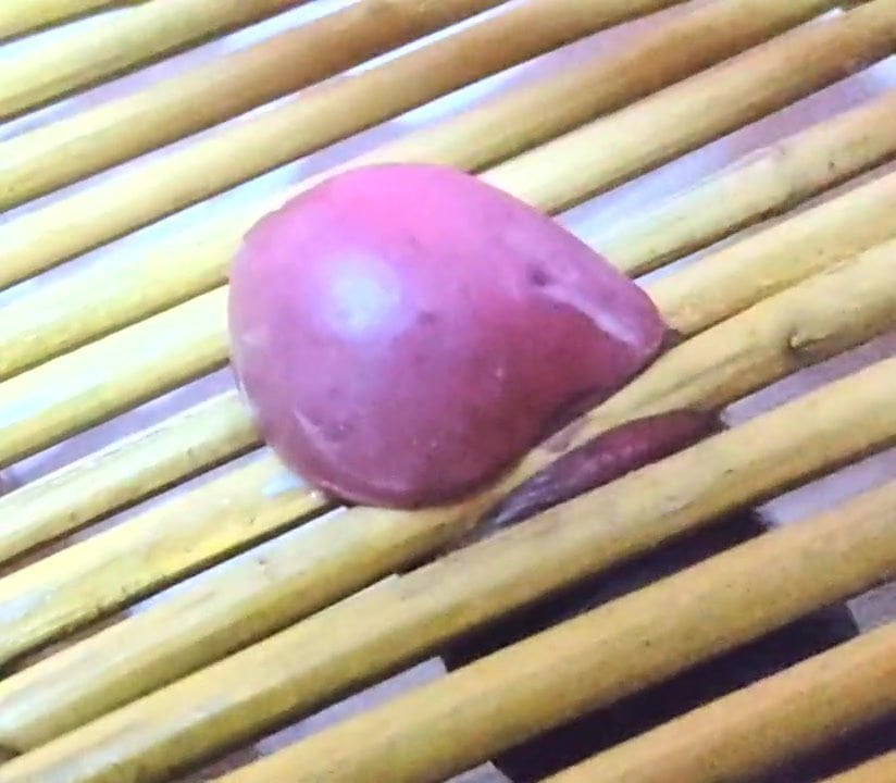 Pornstar Vinvindy1 dick head glans punishment